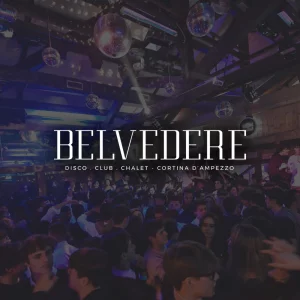 Belvedere disco